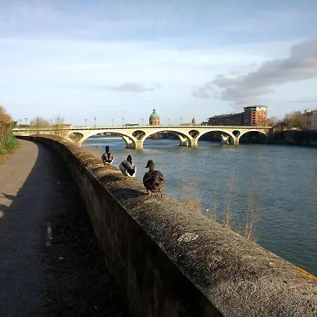 Charming 2-bedroom, Near Center Toulouse