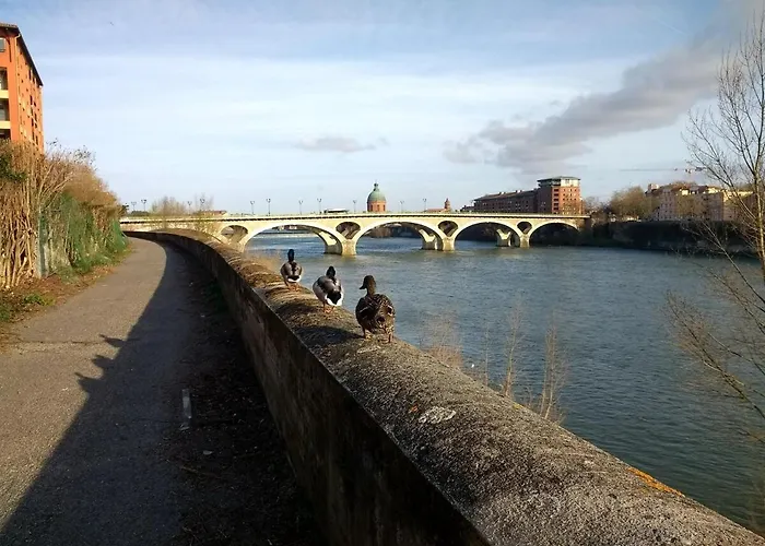 Charming 2-bedroom, Near Center Toulouse