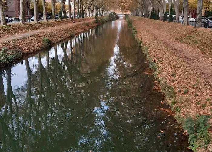 Charming 2-bedroom, Near Center Apartment *