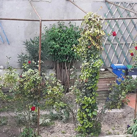 דירה Charming 2-bedroom, Near Center *